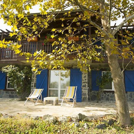 Вилла Art Provence House Лозенец Экстерьер фото